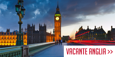 Vacante_Anglia