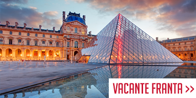 Vacante_Franta